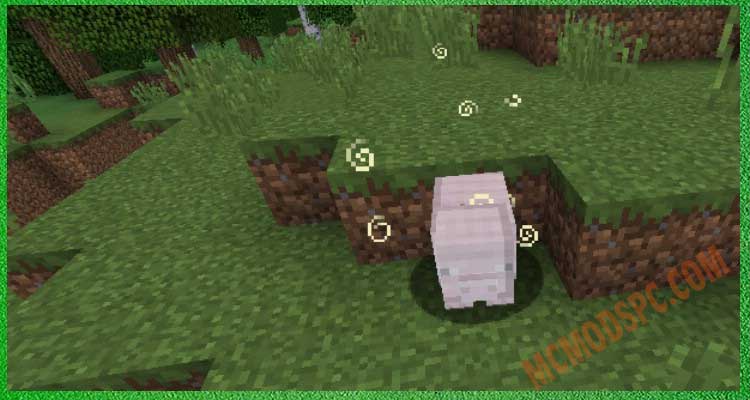 Pig with Ironskin