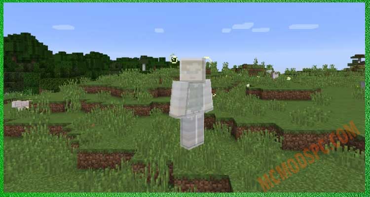 Player with Ironskin