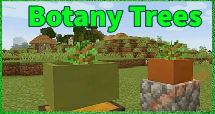 Botany-Trees-1