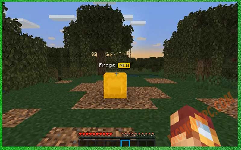 Frogs Mod 1.16.1 - Minecraft PC