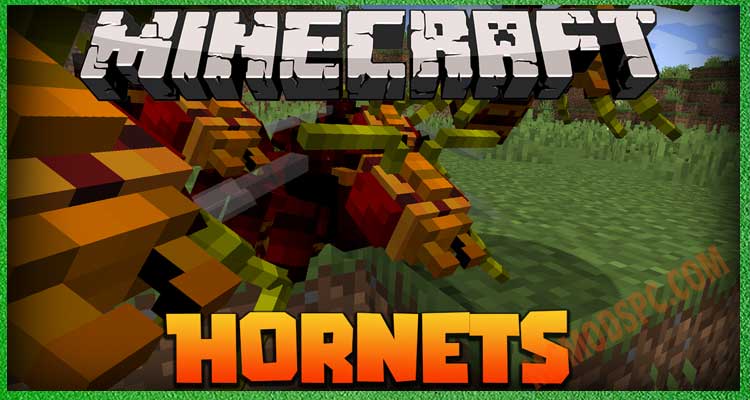 Hornets-1