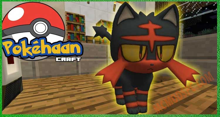 Pokehaan-Craft-Additions-1