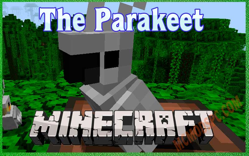 The-Parakeet-1