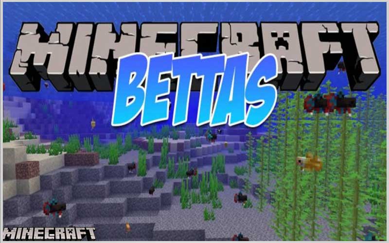 Bettas