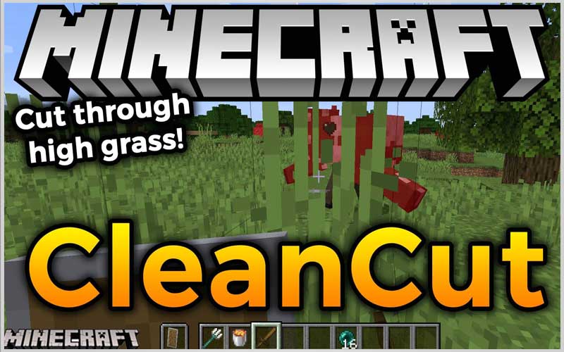 CleanCut