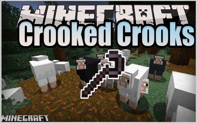 Crooked Crooks