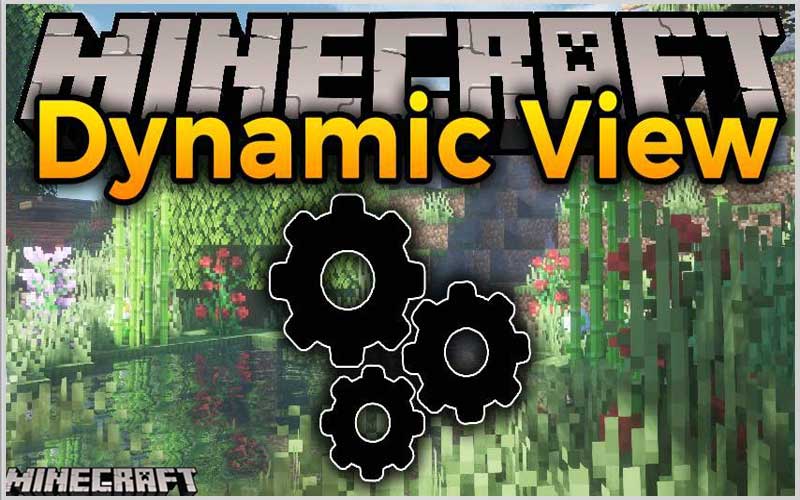 Dynamic View