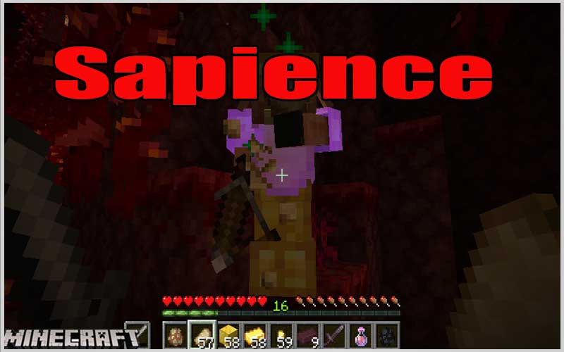 Sapience