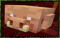 Sapience Mod 1.16.5