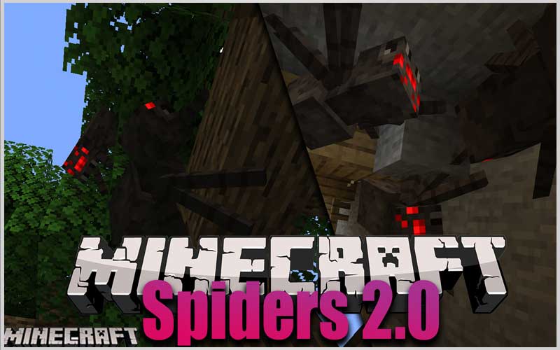 Spiders 2.0