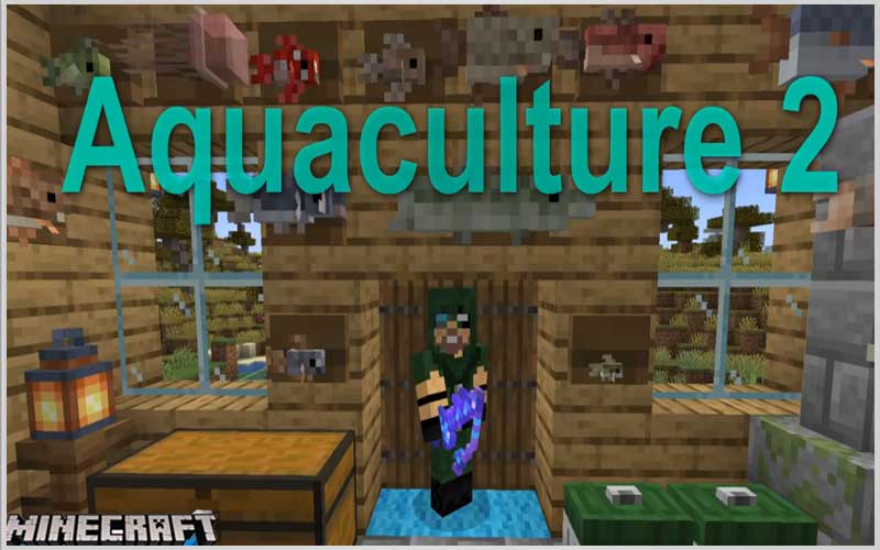 Aquaculture 2 Mod 1.16.5 - Minecraft PC