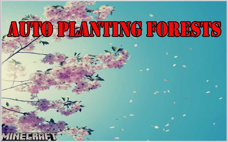 Auto Planting Forests