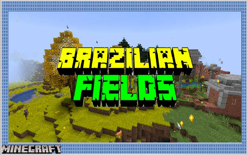 Brazilian Fields