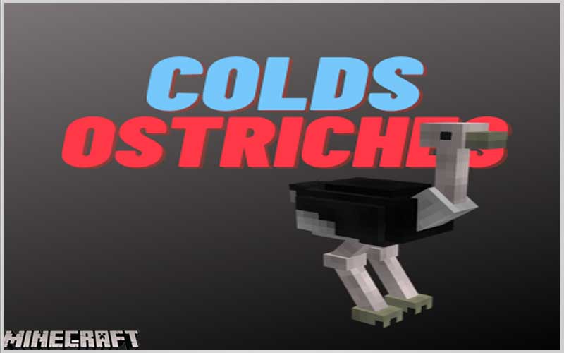 Colds