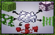 Complete Bone Meal 1.16.5
