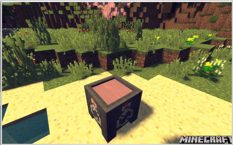 Placebo Mod 1.12.2 - Minecraft PC