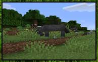 Regrowth 1.12.2