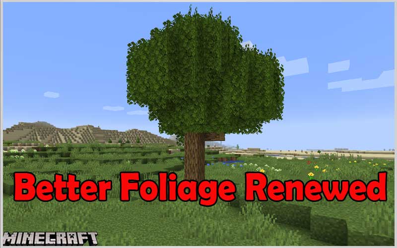 Better Foliage Renewed