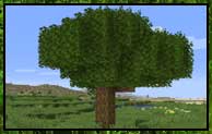 Better Foliage Renewed Mod 1.18.2