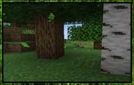Falling Leaves 1.16.5
