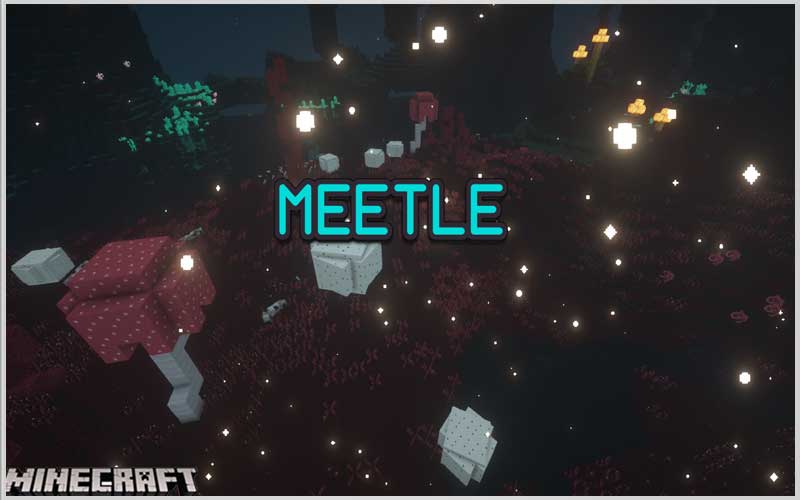 Meetle