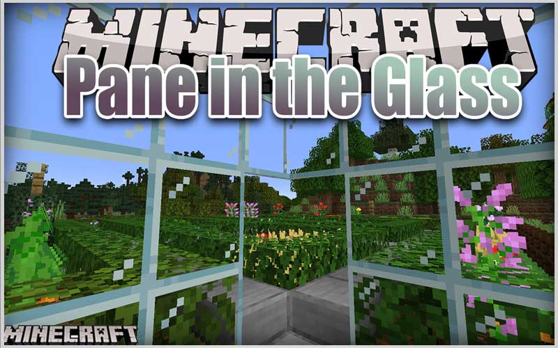 Pane In The Glass