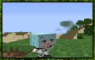 Rei Chikita Mod 1.16.5