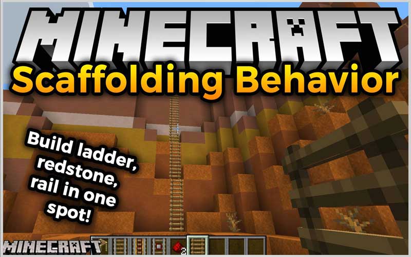 Scaffolding behavior
