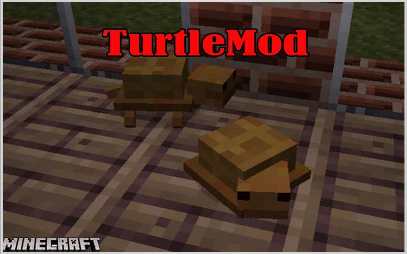 TurtleMod
