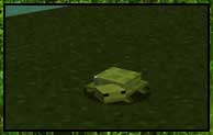 TurtleMod 1.14.4