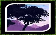 Wildlands Mod 1.12.2