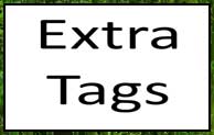 Extra Tags Mod 1.16.5
