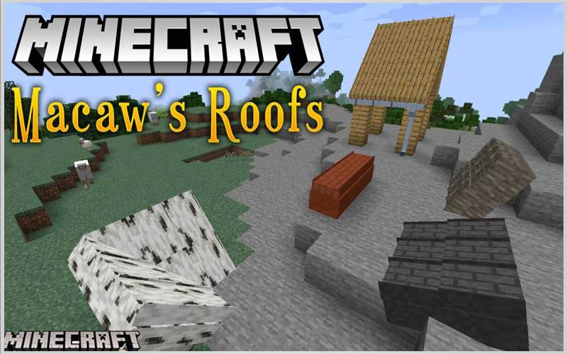 Macaw's Roofs