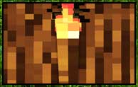 Realistic Torches Mod 1.16.5