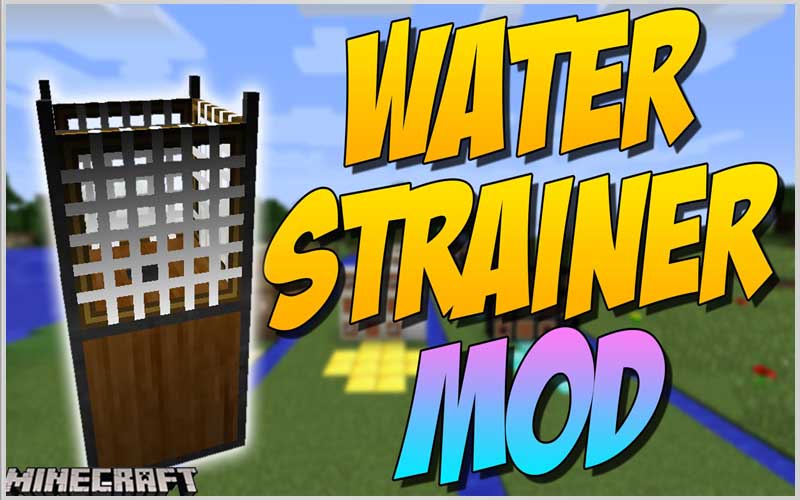 Water Strainer
