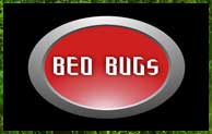 Bed Bugs Mod 1.12.2