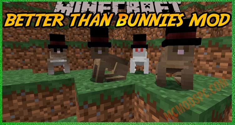 Better Than Bunnies