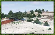 Dynamic Trees – TerraForged Mod 1.16.5