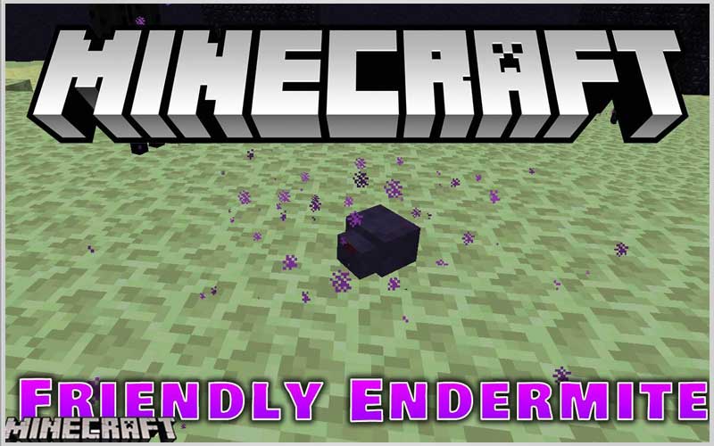 FriendlyEndermite