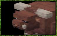 World-Building Plus Mod 1.16.5