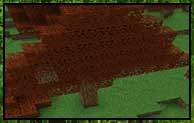 Chunk Saving Fix Mod 1.16.5