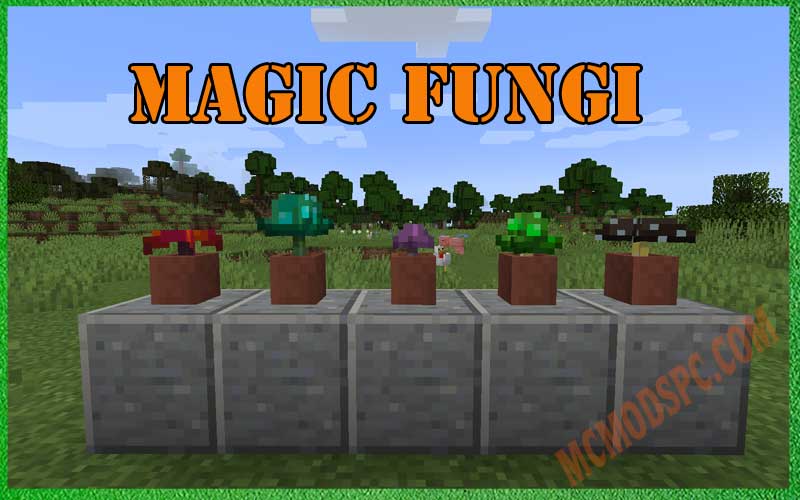 Magic Fungi