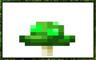 Magic Fungi Mod 1.18.1