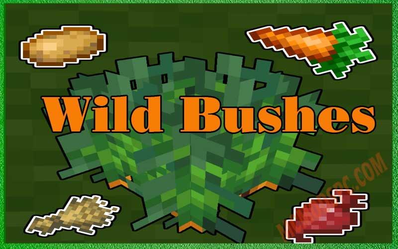 Wild Bushes