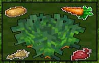 Wild Bushes 1.16.5