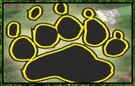 Animalium Mod 1.16.5