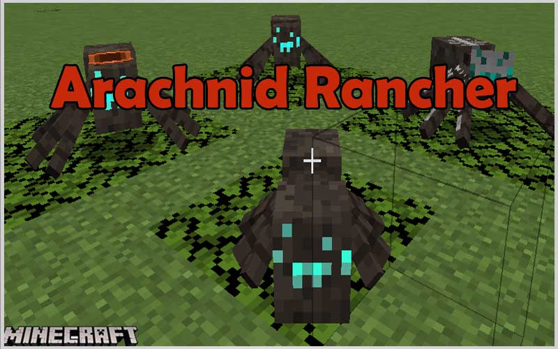 Arachnid Rancher