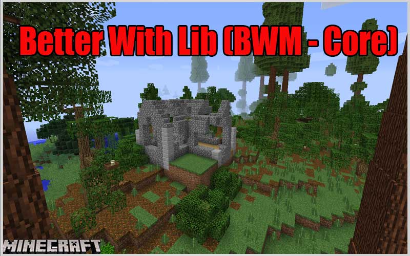 Better With Lib