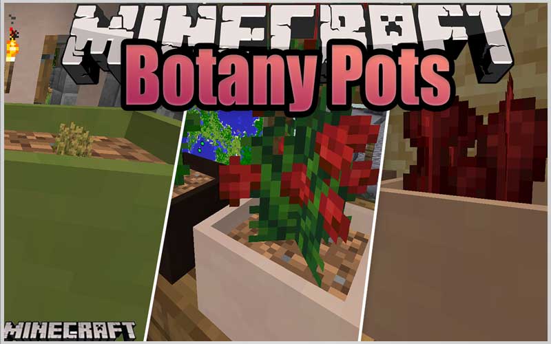 Botany Pots