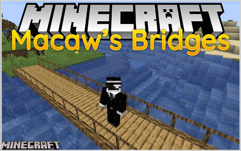 Macaw's Bridges
